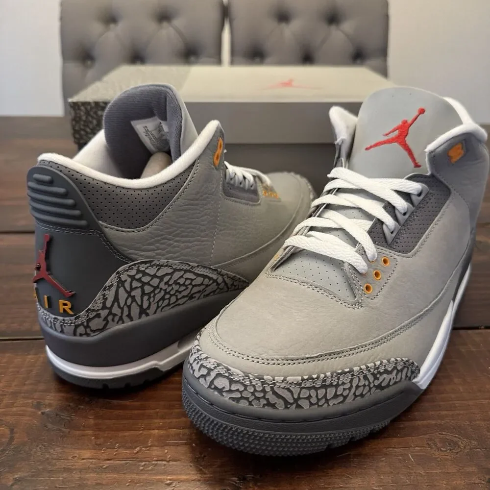 Air Jordan 3 Retro Cool Grey Shoes